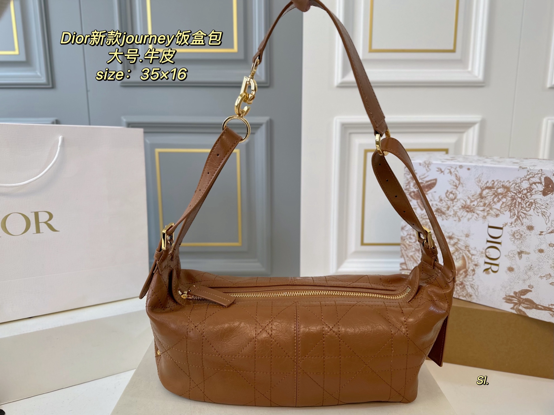DIOR bag 172